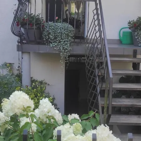 Kamionka * 소포트